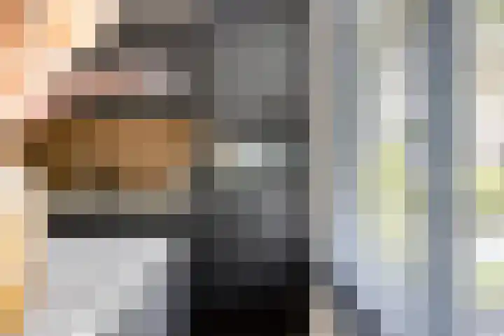 Haagbeuk 8 Best thumbnail 12