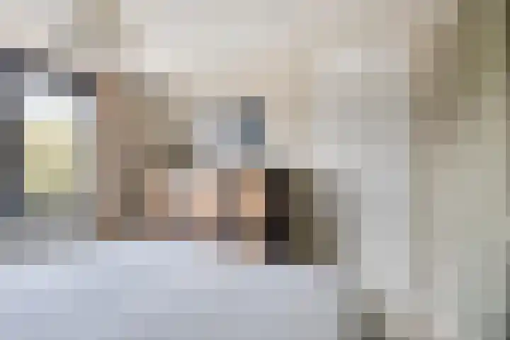 Haagbeuk 8 Best thumbnail 15