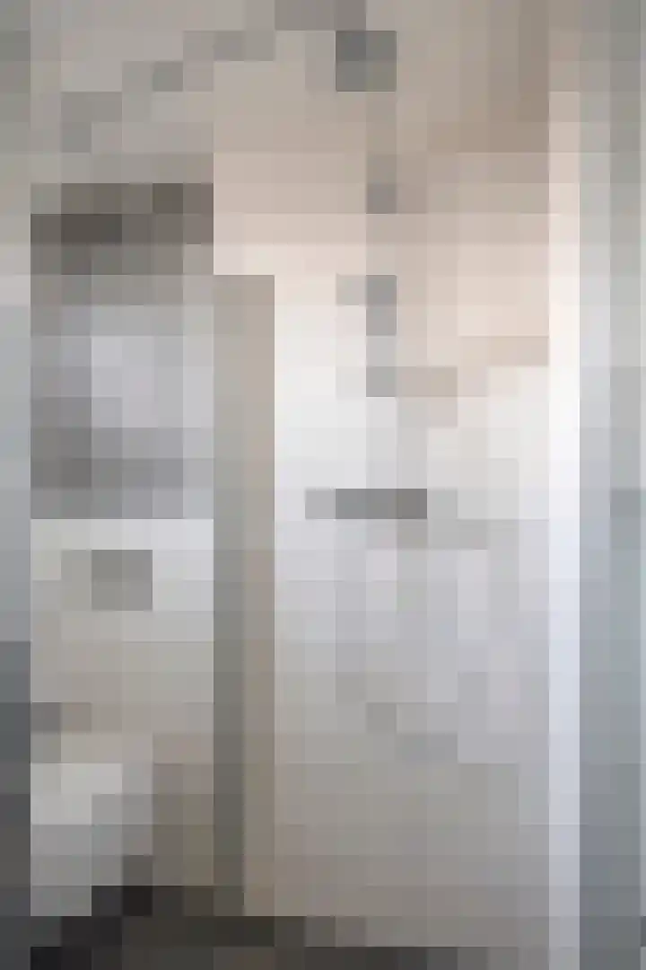Haagbeuk 8 Best thumbnail 17
