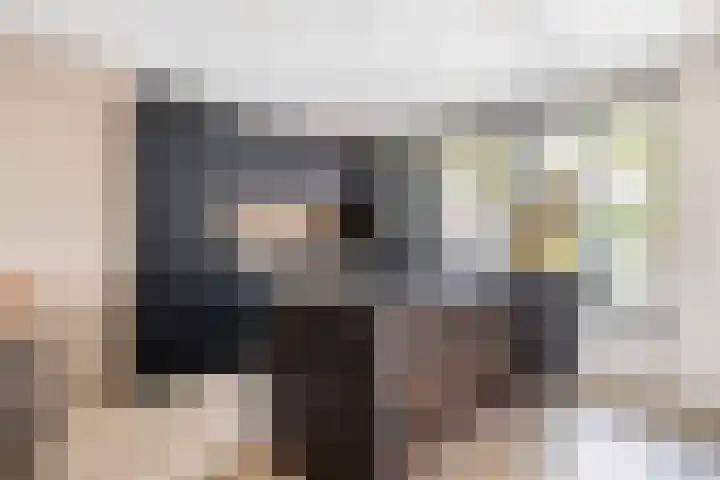 Haagbeuk 8 Best foto 2