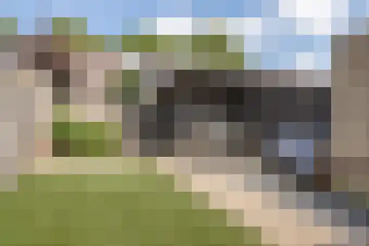 Haagbeuk 8 Best thumbnail 25