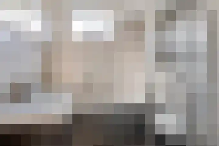 Haagbeuk 8 Best foto 3