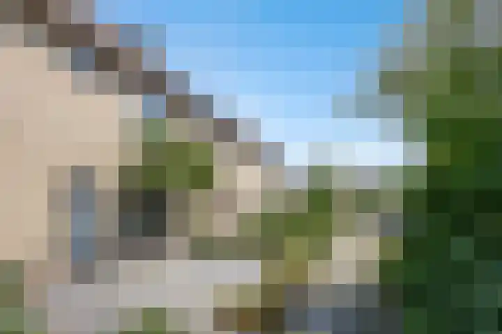 Haagbeuk 8 Best thumbnail 32