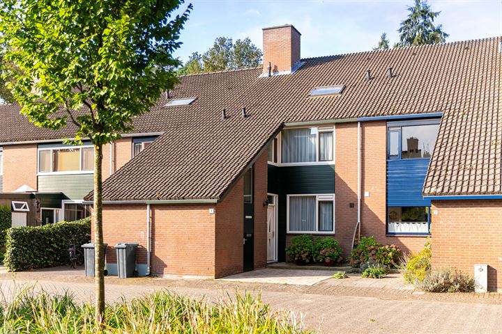 Haagbeukhof 3 in Dieren foto