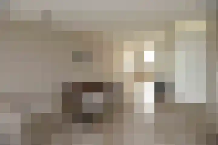 Haagdijk 141 Breda thumbnail 17