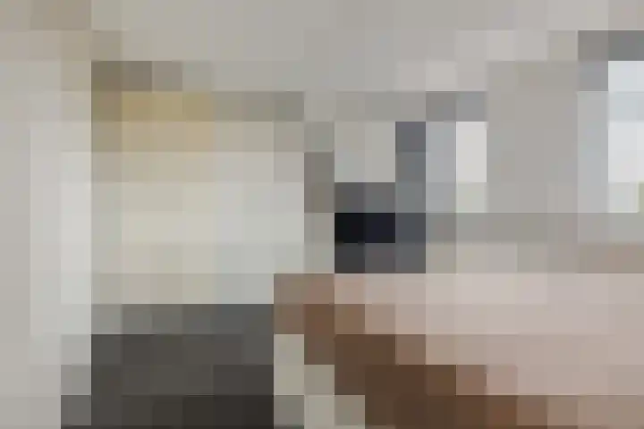 Haagje 16 Westmaas thumbnail 16