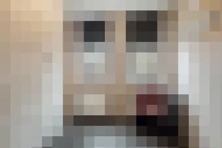 Haagje 16 Westmaas thumbnail 17