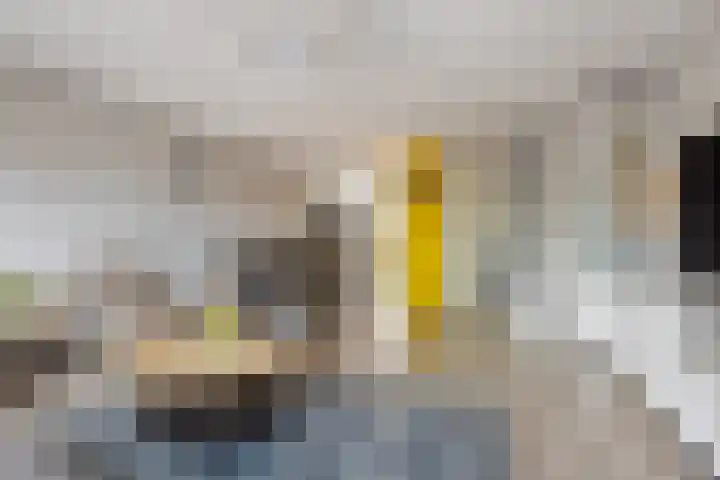 Haagje 16 Westmaas thumbnail 4