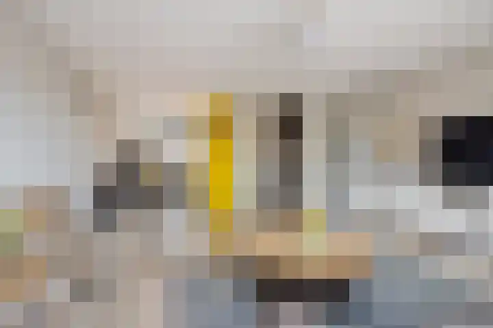 Haagje 16 Westmaas thumbnail 5