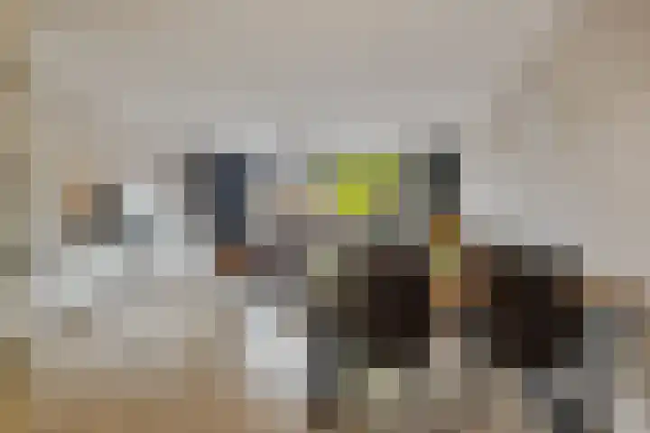 Haagje 16 Westmaas thumbnail 8