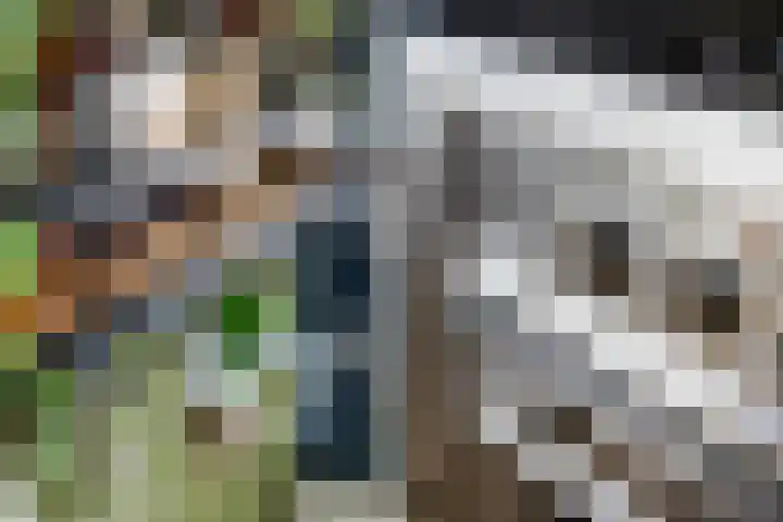 Haagoord 18 Rotterdam thumbnail 18