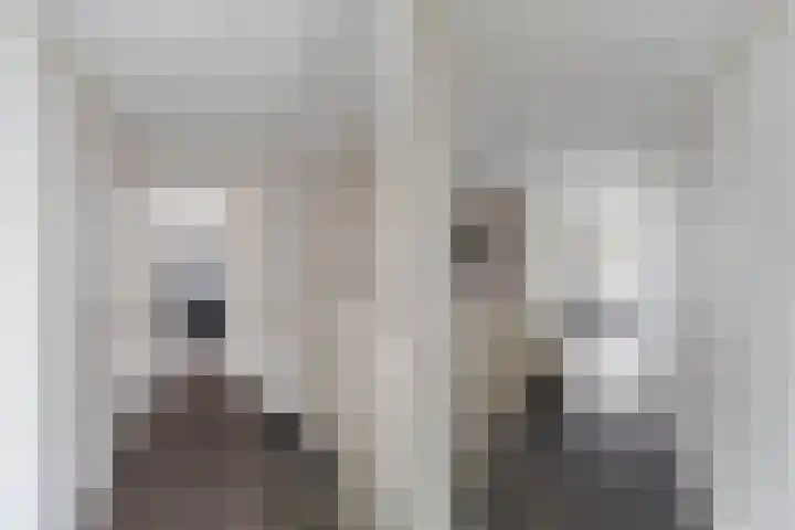 Haagoord 18 Rotterdam thumbnail 24