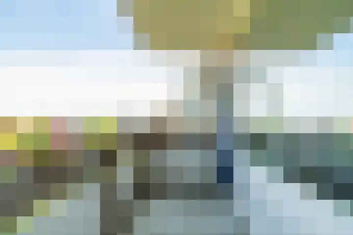 Haagplein 85 Leiden thumbnail 13