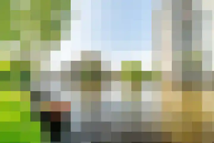 Haagplein 85 Leiden thumbnail 25