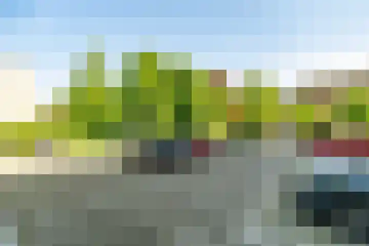 Haagplein 85 Leiden thumbnail 27