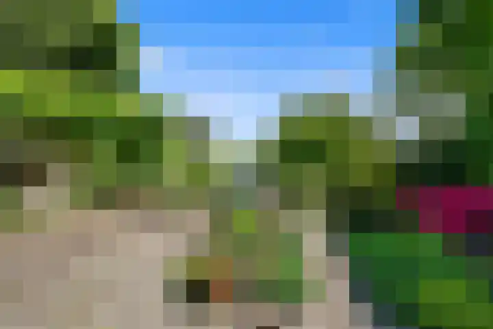 Haagweg 115 Monster thumbnail 25