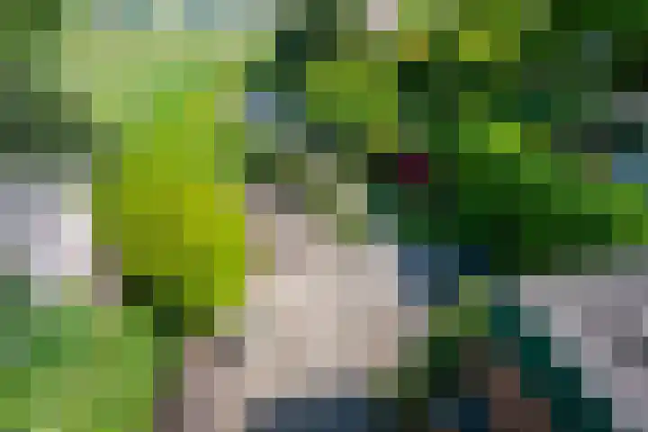 Haagweg 115 Monster thumbnail 37