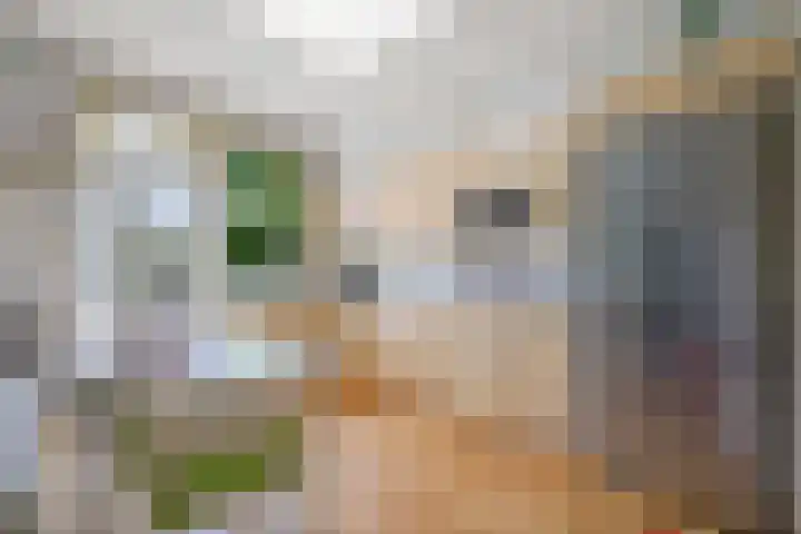 Haagweg 115 Monster thumbnail 4
