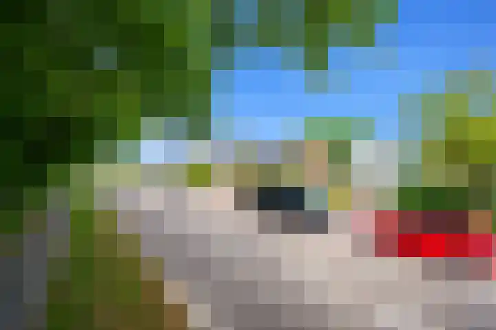 Haagweg 115 Monster thumbnail 6
