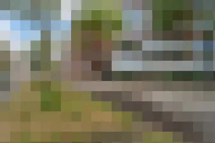 Haagweg 130 Leiden thumbnail 6