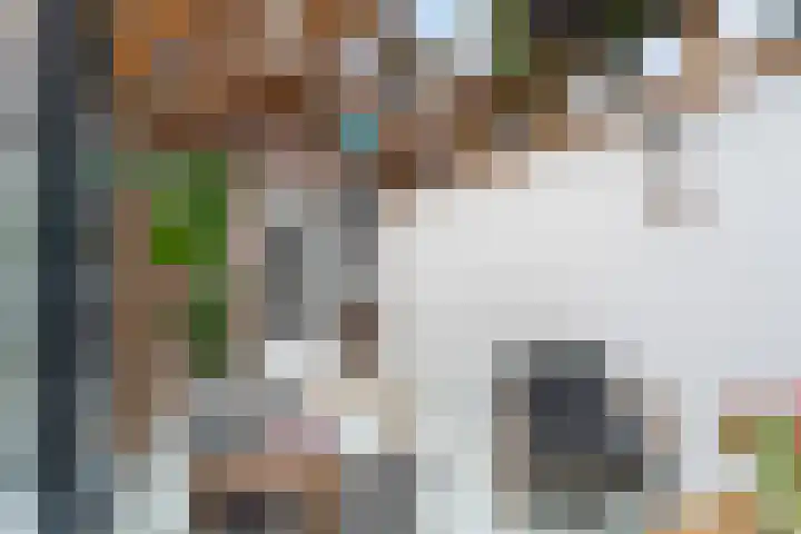 Haagweg 147 Monster thumbnail 23