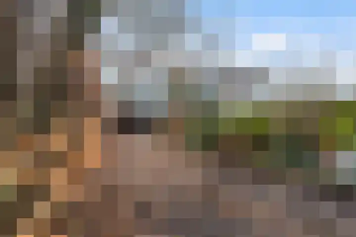 Haagweg 147 Monster thumbnail 35