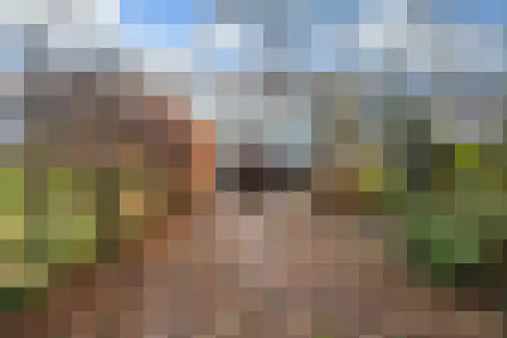 Haagweg 147 Monster thumbnail 36