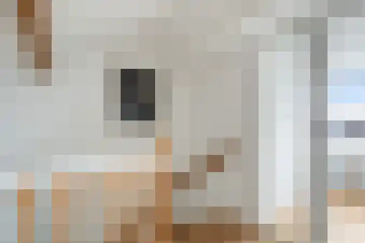 Haagweg 147 Monster thumbnail 58