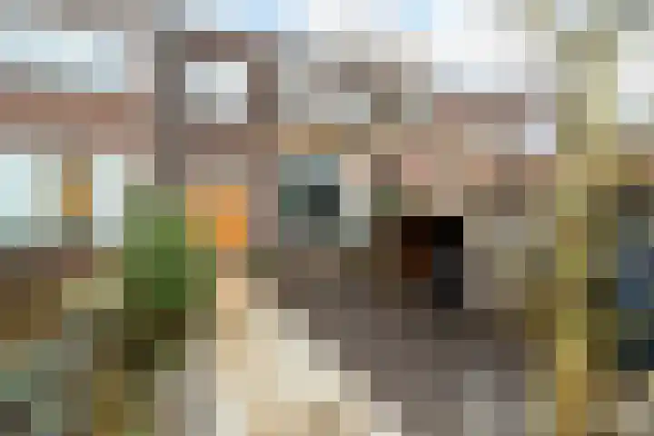 Haagweg 147 Monster thumbnail 6