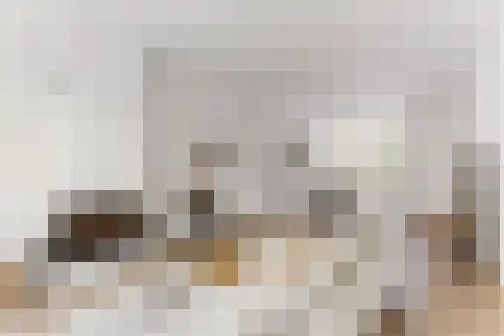 Haagweg 15 Breda thumbnail 10