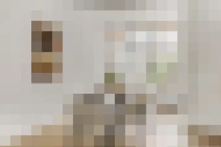 Haagweg 15 Breda thumbnail 13