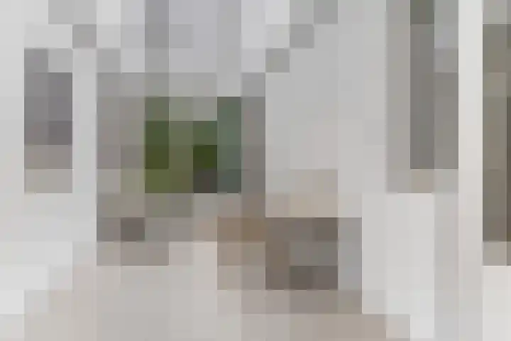 Haagweg 15 Breda thumbnail 16
