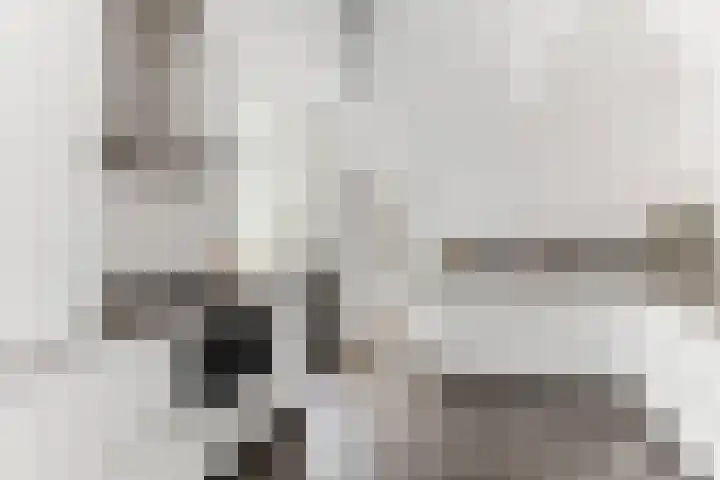 Haagweg 15 Breda thumbnail 17