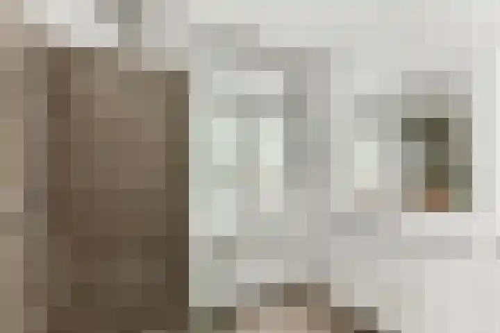 Haagweg 15 Breda thumbnail 27