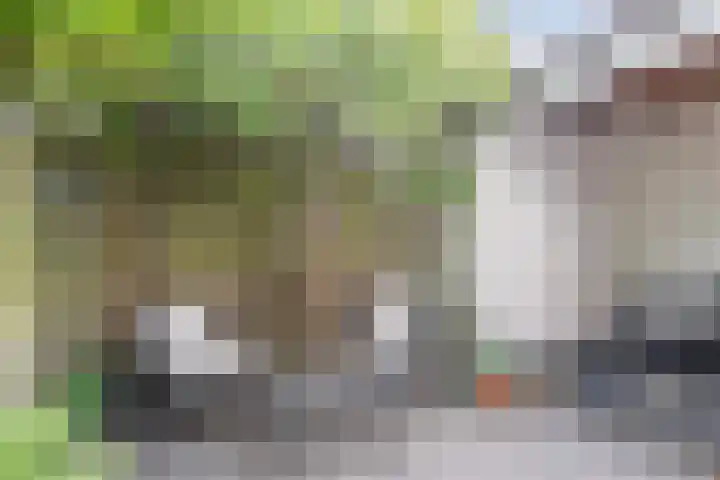 Haagweg 160 Breda thumbnail 31