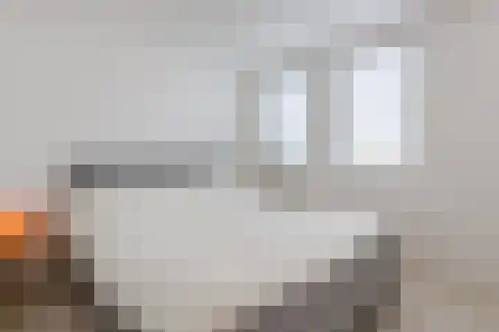 Haagweg 160 Breda thumbnail 4