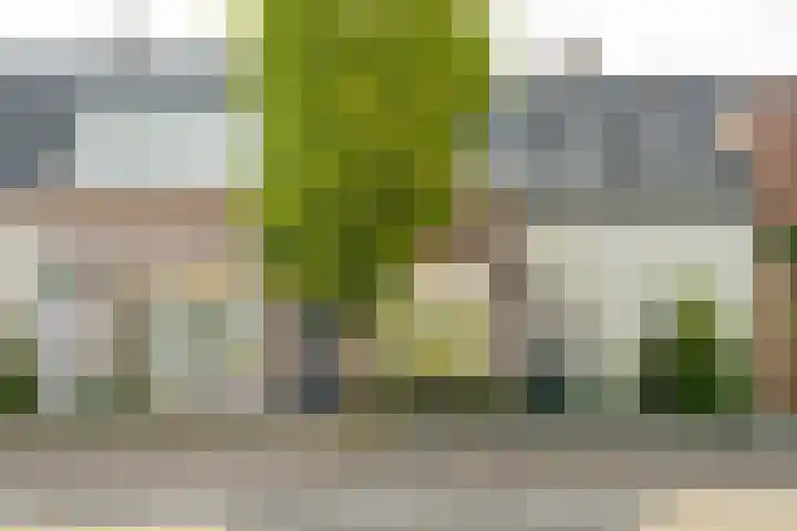 Haagweg 169 in Breda