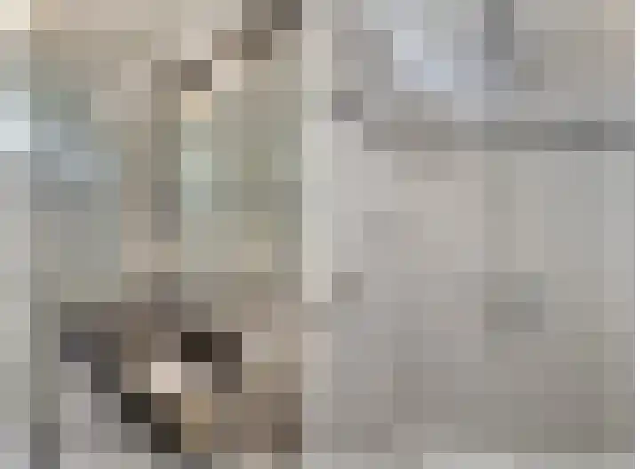 Haagweg 37 Monster thumbnail 13