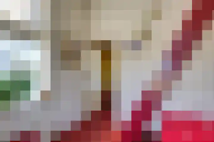Haagweg 37 Monster thumbnail 17
