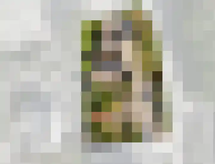 Haagweg 37 Monster thumbnail 30
