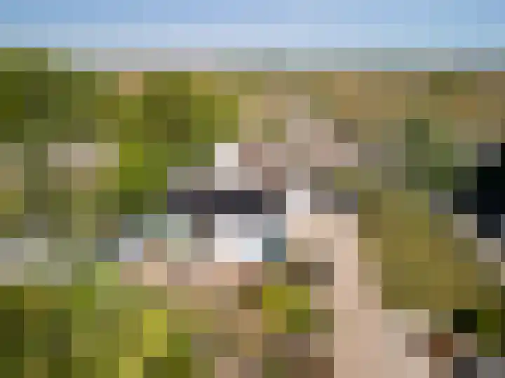 Haagweg 37 Monster thumbnail 34