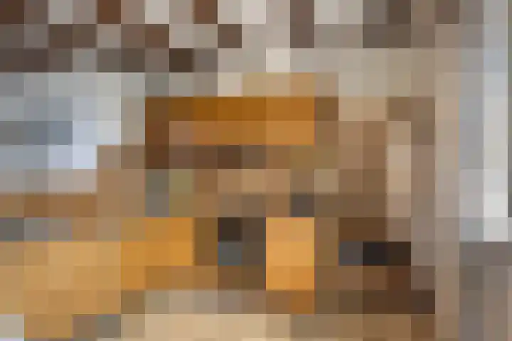 Haagweg 59 Monster thumbnail 11