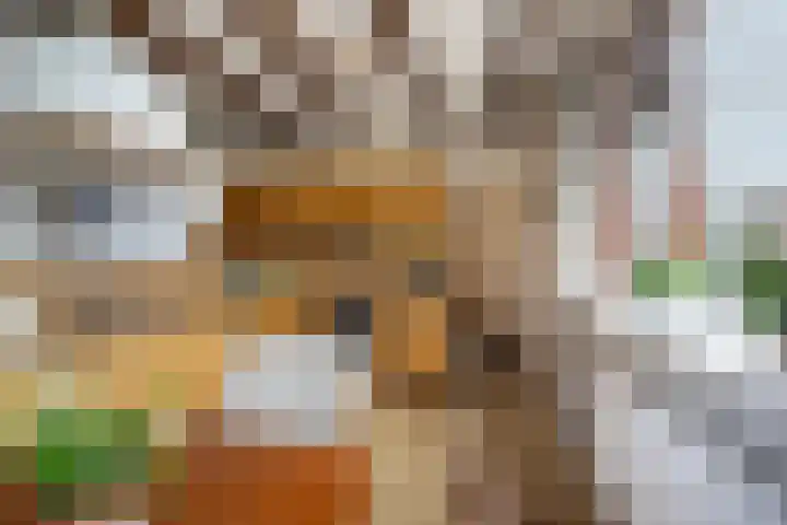 Haagweg 59 Monster thumbnail 12