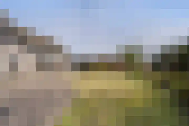 Haagweg 59 Monster thumbnail 20