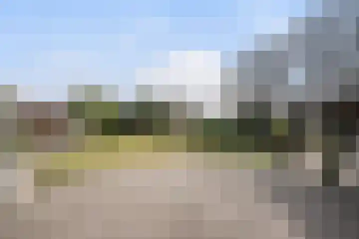 Haagweg 59 Monster thumbnail 23