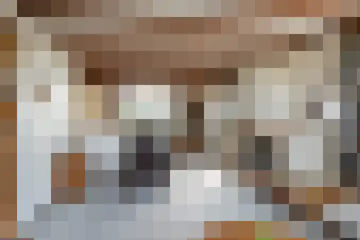 Haagweg 59 Monster thumbnail 8