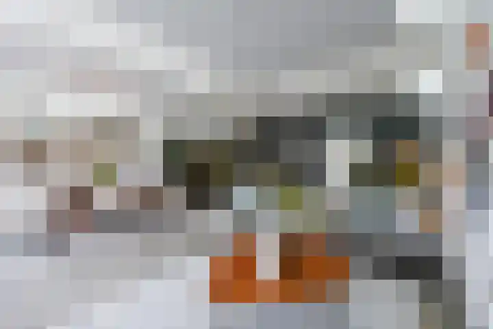 Haagweg 69 Leiden thumbnail 11