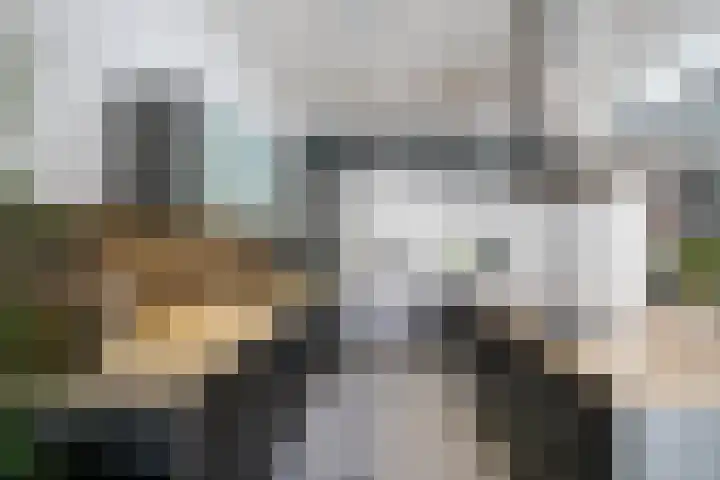 Haagweg 69 Leiden thumbnail 13