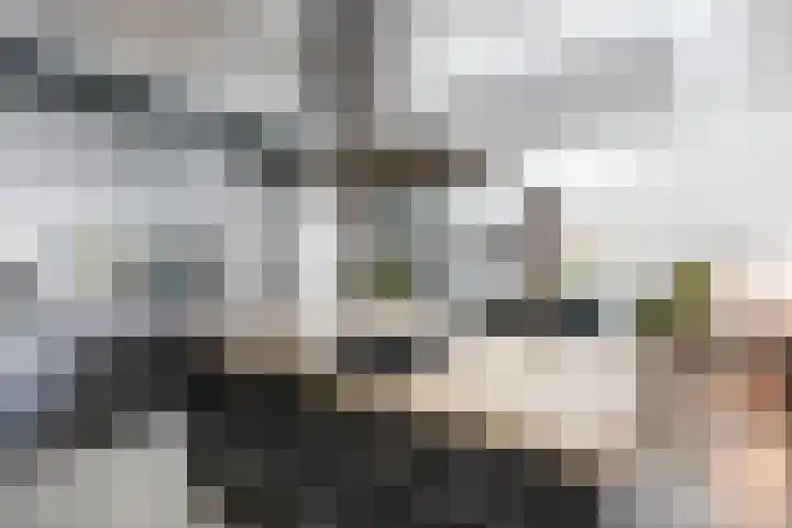 Haagweg 69 Leiden thumbnail 14