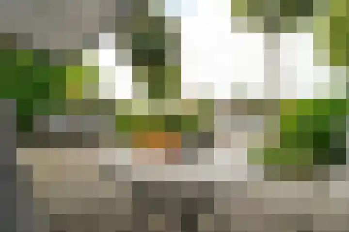 Haagweg 69 Leiden thumbnail 22